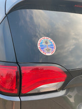 Load image into Gallery viewer, You Think You Just Fell Out Of A Coconut Tree CAR WINDOW Sticker